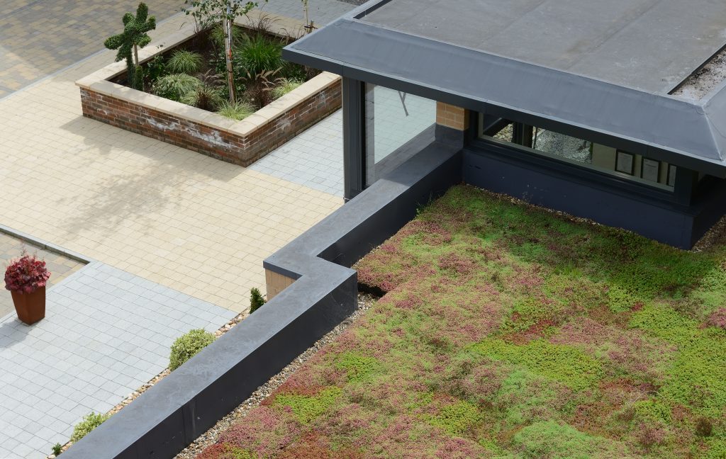 Green Roof Installation Planning Considerations Wallbarn