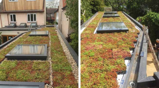 Edging And Finishing Green Roof Wallbarn