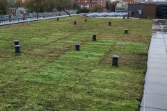 roll-out-green-roof-2