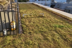 roll-out-green-roof-3