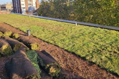 roll-out-green-roof-4