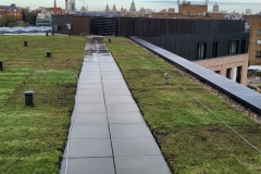 roll-out-green-roof-5