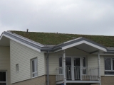 green-roof-in-witham