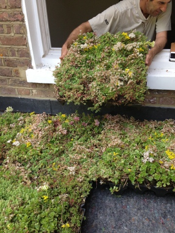 Modular Green Roof Trays | Modular Green Roofs | Wallbarn