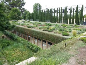 Living Green Wall