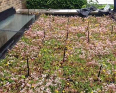 Exploring the Benefits of Green Roofs: A Beginner’s Guide to Eco-Friendly Roofing in 2023