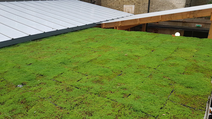 A large image of a newly installed green roof in Knightsbridge, London