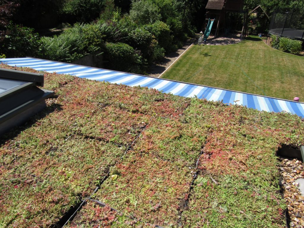 An image of a green roof installation on a house