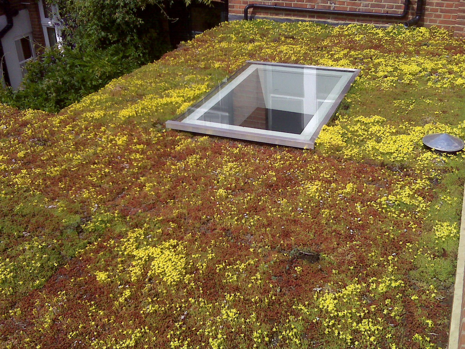 Green Roof Systems - Green Roof Outfitters