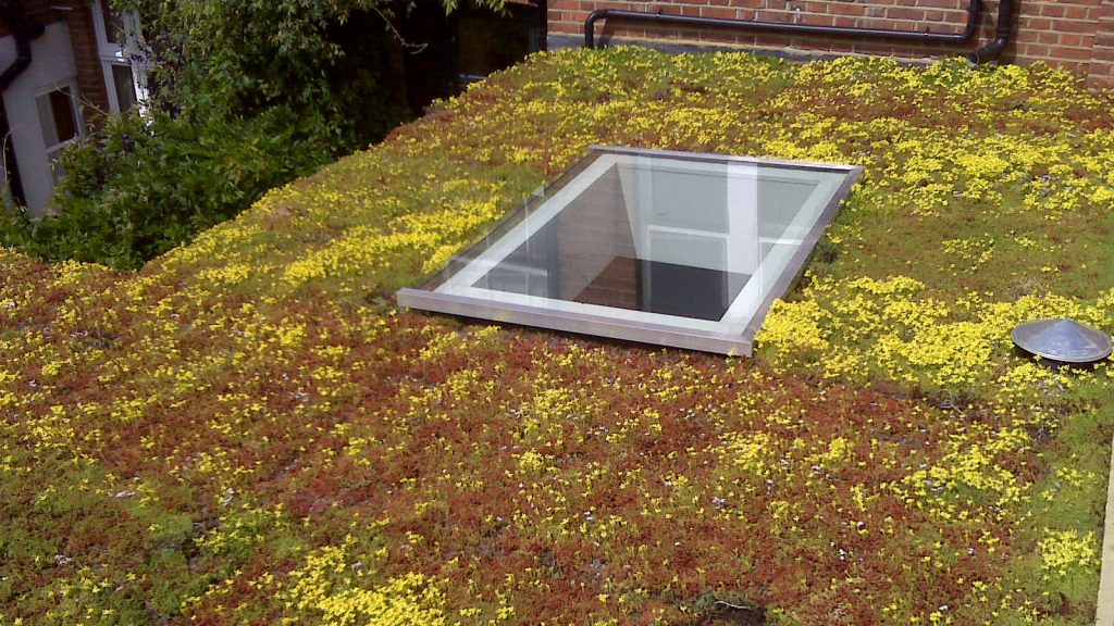 An image of a roll-out green roof