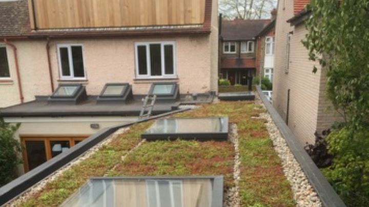 Why Green Roofs Are the Sustainable Solution You Need in 2023