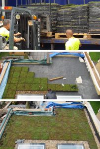 The different stages of a green roof installation