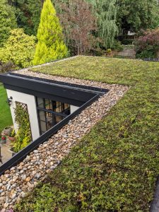 M-Tray green roof extension