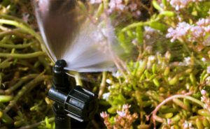 Green Roof Irrigation System