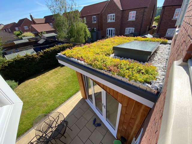 M Tray green roof domestic extension