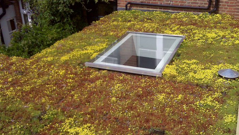 The Top 5 Advantages of a Rollout Green Roof System