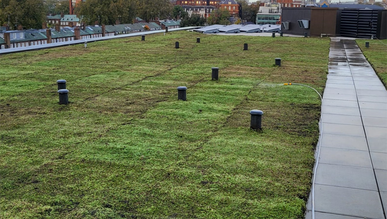 roll-out-green-roof-2