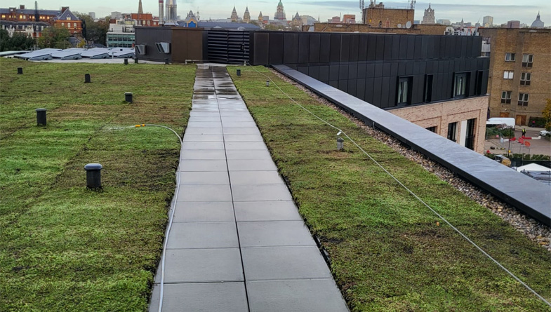 roll-out-green-roof-5