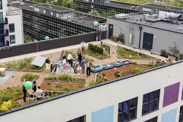 YMCA MK scores green roof first